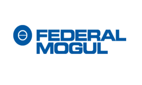 Das Bild zeigt das Logo von Federal Mogul in blauer Schrift auf weißem Hintergrund.