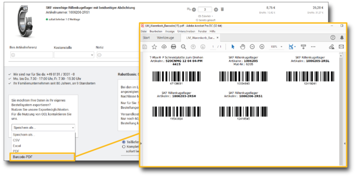 Das Bild zeigt einen Screenshot eines Online-Shops mit einem geöffneten PDF-Dokument, das Barcodes und Artikelinformationen von SKF-Rillenkugellagern anzeigt.