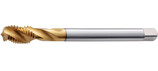 Ein Gewindebohrer mit goldenem Schneidkopf und silbernem Schaft.